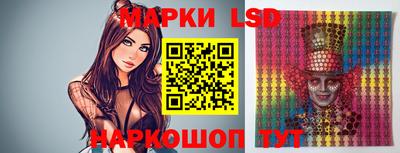 индика Кулебаки