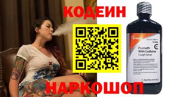 индика Кулебаки