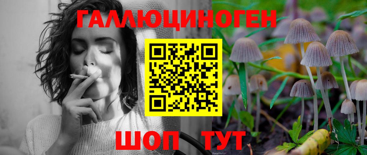 Псилоцибиновые грибы прущие грибы  Вход с VPN  Комсомольск-на-Амуре  Галлюциногенные грибы мицелий 